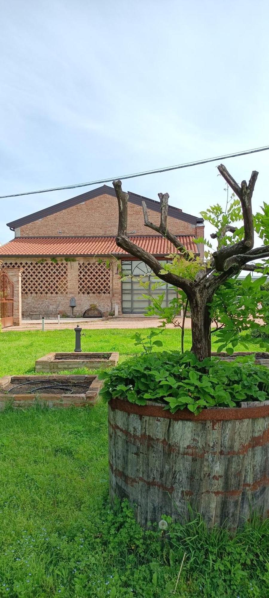B&B Rocambola Nogara Экстерьер фото
